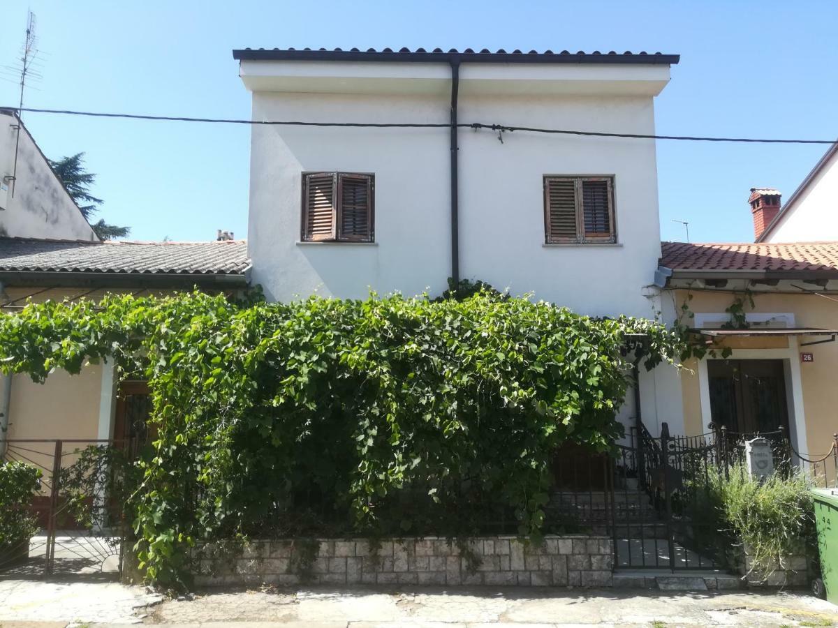 Apartma Zalka إيزولا المظهر الخارجي الصورة