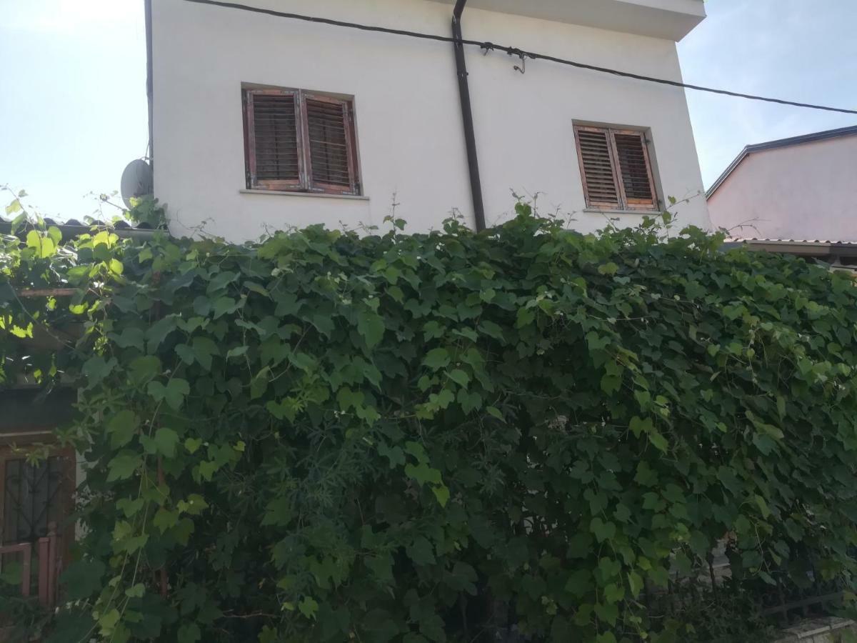 Apartma Zalka إيزولا المظهر الخارجي الصورة